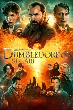 Image Fantastik Canavarlar: Dumbledore'un Sırları