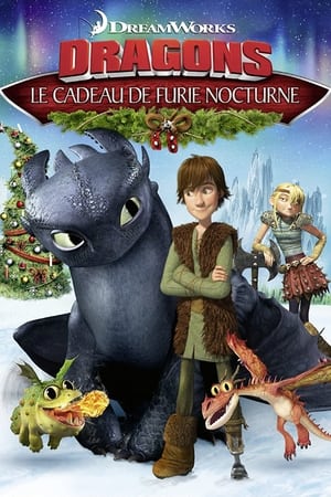 Image Dragons : Le cadeau du Furie Nocturne