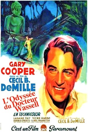 Télécharger L'Odyssée du docteur Wassell ou regarder en streaming Torrent magnet 