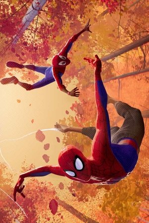 Spider-Man: Into the Spider-Verse Sequel