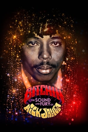 Télécharger Bitchin': The Sound and Fury of Rick James ou regarder en streaming Torrent magnet 
