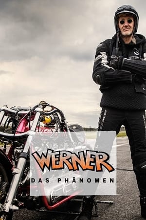 Image Werner - Das Phänomen