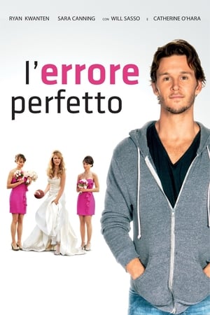 Poster L'errore perfetto 2013