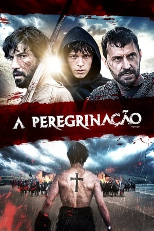 Poster A Peregrinação 2017