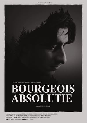 Image Bourgeois Absolutie