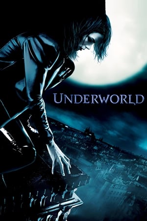 Image Underworld