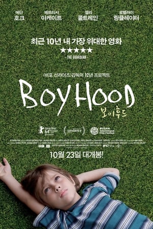 Poster 보이후드 2014