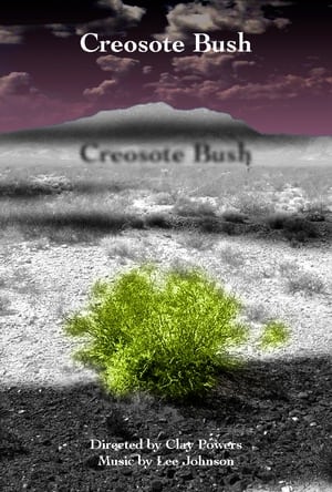 Image Creosote Bush