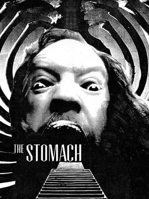 The Stomach 2014