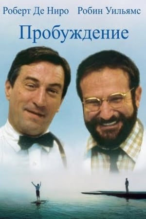 Poster Пробуждение 1990