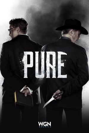 Poster Pure 2017