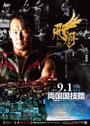 Image NOAH: Naomichi Marufuji 20th Anniversary Show