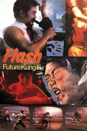 Image Flash Future Kung Fu