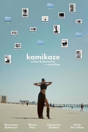 kamikaze (2025)