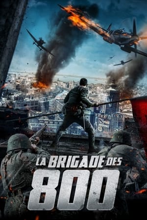 Poster La Brigade des 800 2020