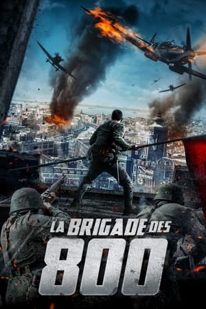 Image La Brigade des 800