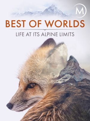 Best of Worlds: Life at its Alpine Limits (2014)