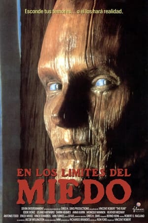 Poster En los límites del miedo 1995