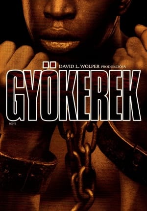 Image Gyökerek