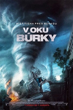 Poster V oku búrky 2014