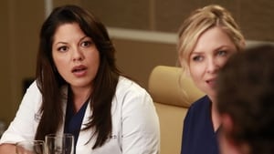 Grey’s Anatomy Season 9 Episode 17