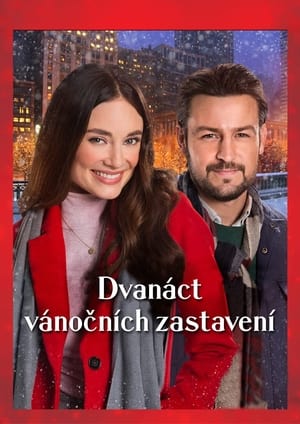 Image Dvanáct vánočních zastavení