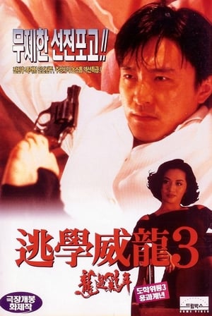 Poster 도학위룡 3: 용과계년 1993