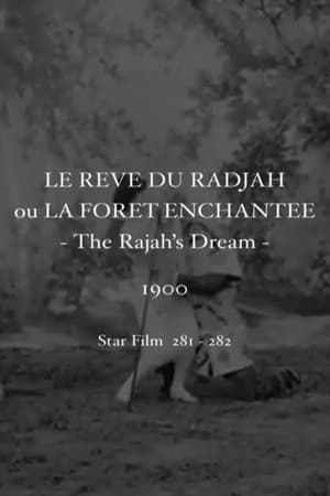 Télécharger Le rêve du radjah ou La forêt enchantée ou regarder en streaming Torrent magnet 