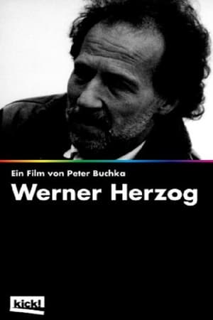 Télécharger Bis ans Ende... und dann noch weiter. Die ekstatische Welt des Filmemachers Werner Herzog ou regarder en streaming Torrent magnet 