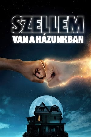 Image Szellem van a házunkban