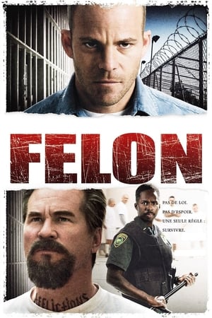 Image Felon