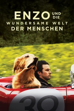 Poster Enzo und die wundersame Welt der Menschen 2019