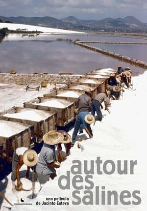 Image Autour des salines