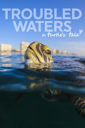Poster Troubled Waters: A Turtle's Tale 2019