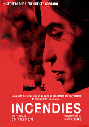 Poster Incendies 2010