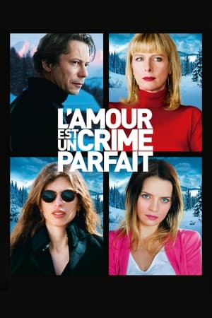 Poster L'amour est un crime parfait 2013