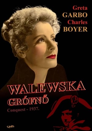 Image Walewska grófnő