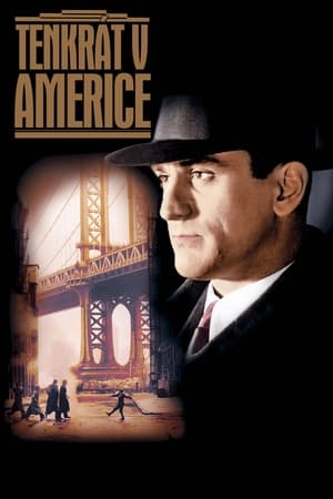 Poster Tenkrát v Americe 1984