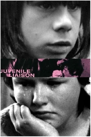 Juvenile Liaison 1976