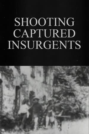 Image Shooting Captured Insurgents