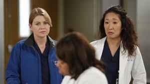 Grey’s Anatomy Season 9 Episode 12