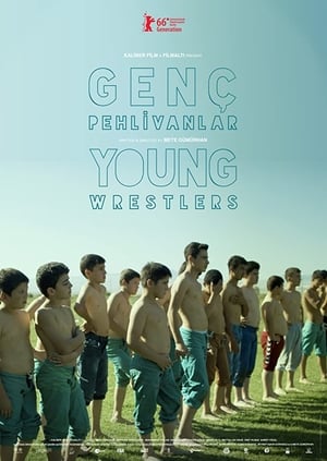 Image Young Wrestlers