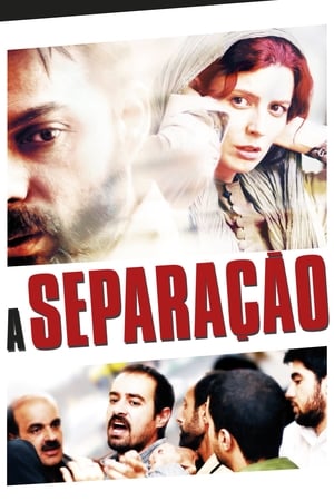 Poster A Separação 2011