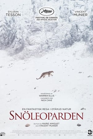 Poster Snöleoparden 2021