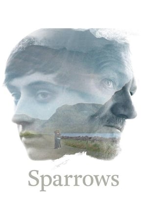 Image Sparrows