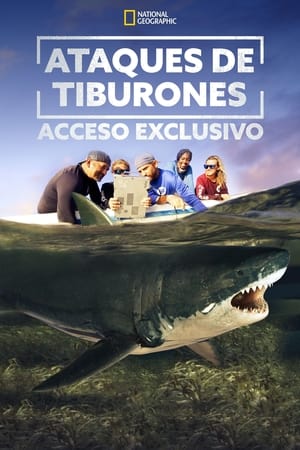 Image Ataques de Tiburones: Acceso Exclusivo