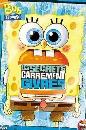 Image Bob l'éponge : Les secrets carrément givrés