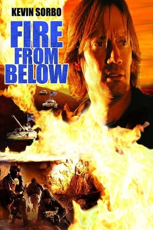 Poster Fire from Below 2009