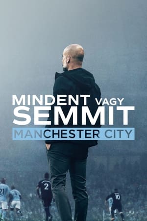 Image Mindent vagy semmit: Manchester City