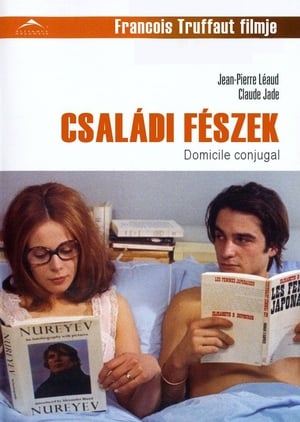 Image Családi fészek